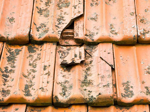 TILE ROOF REPLACEMENT